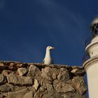 Cap De Formentor