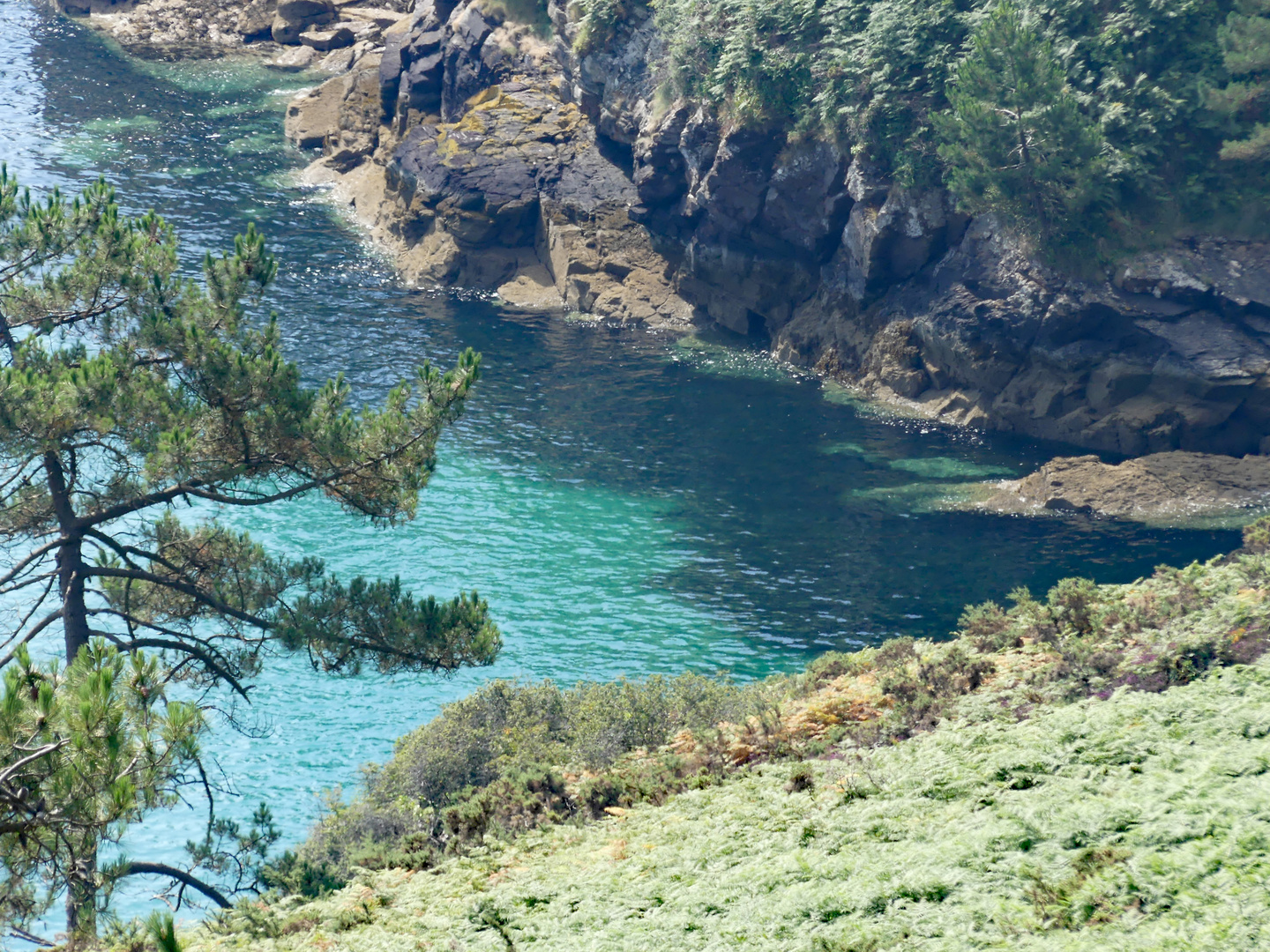 Cap de la Chèvre