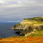 cap de miquelon