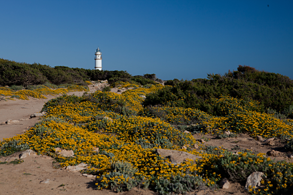 Cap de Ses Salines 2011