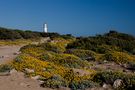 Cap de Ses Salines 2011 von F. Fischer 