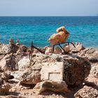 Cap de Ses Salines - Steinmännchen und Strandgut