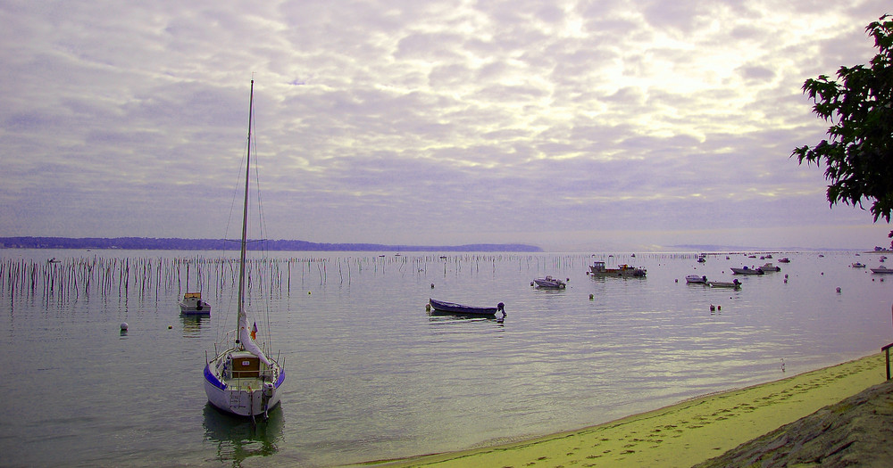 Cap Ferret