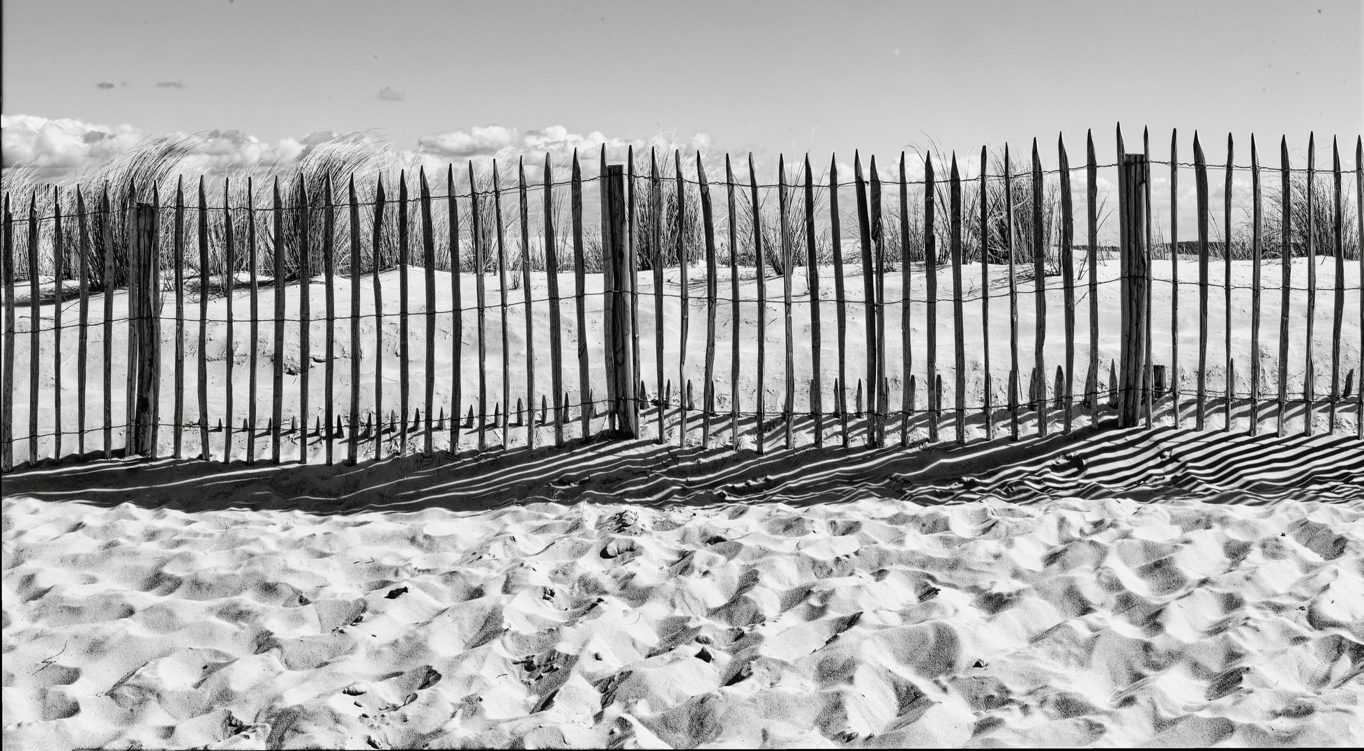 Cap Ferret