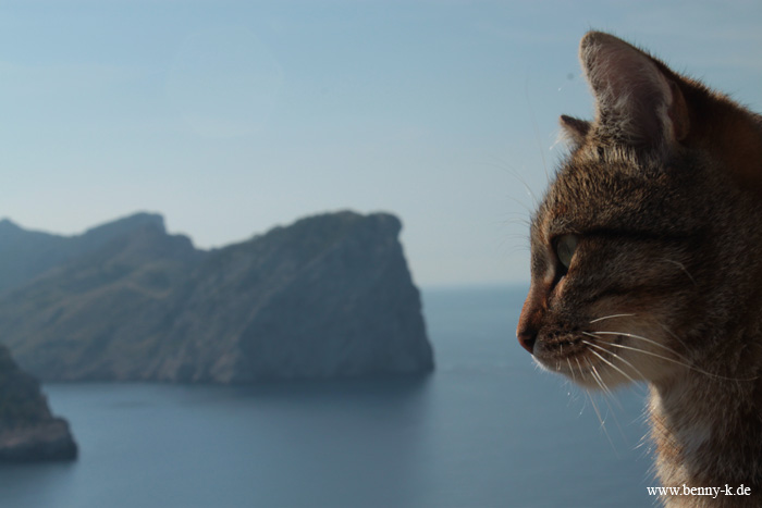 Cap Formentor