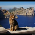 Cap Formentor