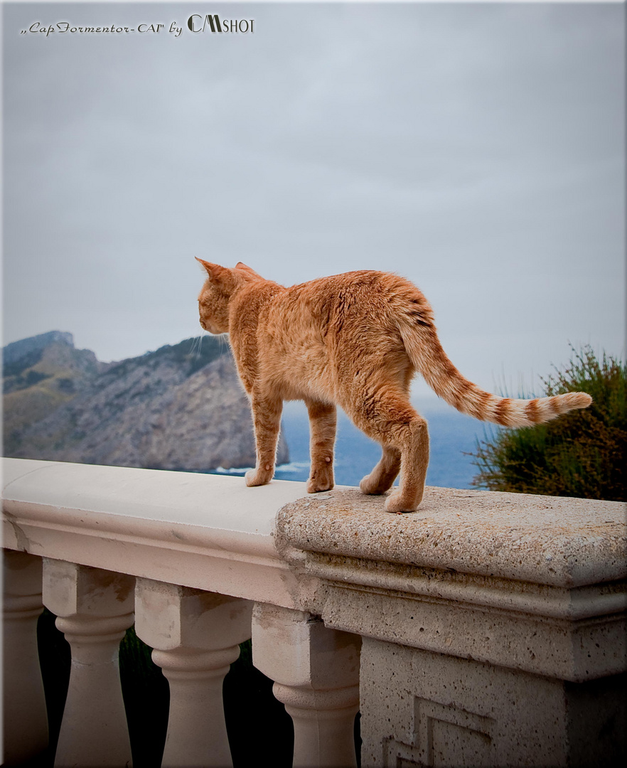 .."Cap Formentor-Cat"...