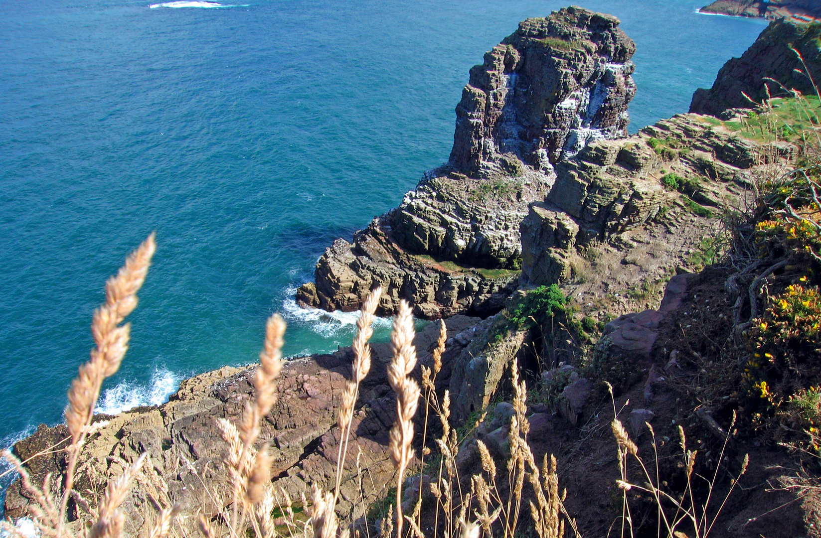 Cap Fréhel (2) ..