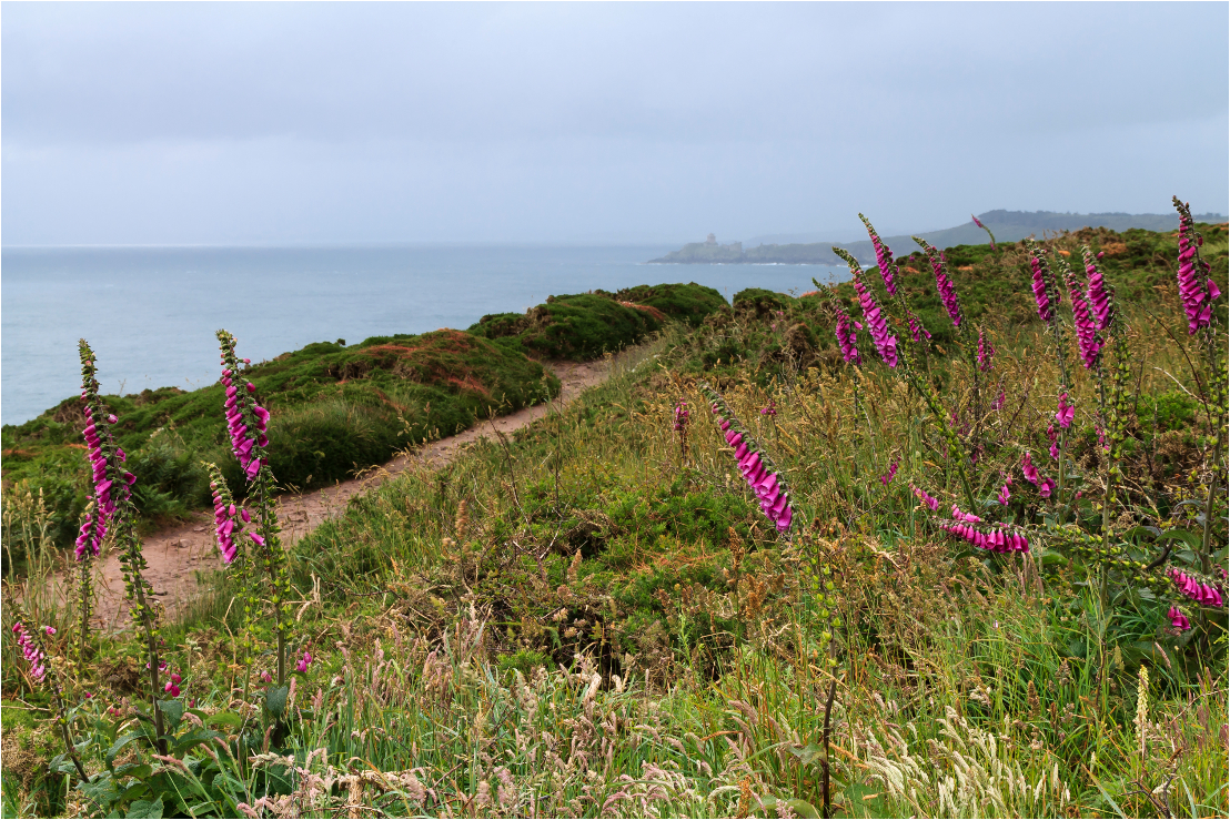 Cap Frehel