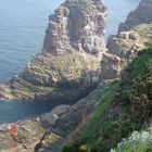 CAP FREHEL