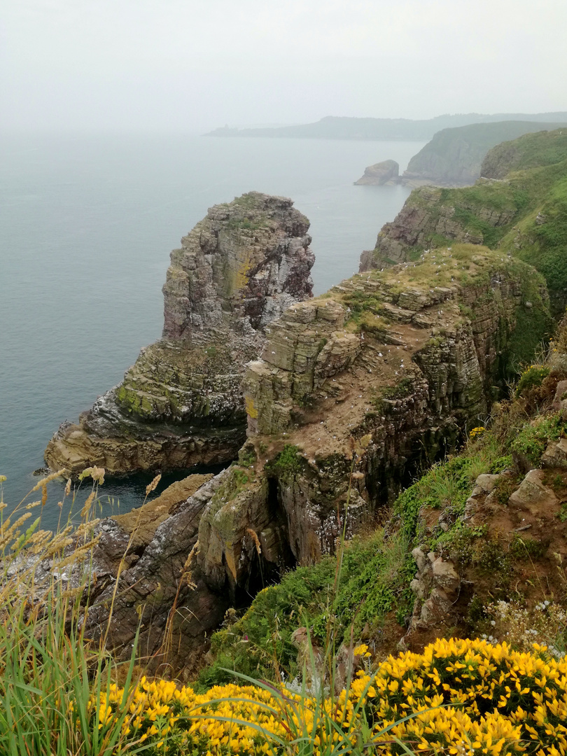 Cap Fréhel, Bretagne