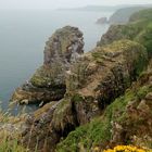 Cap Fréhel, Bretagne