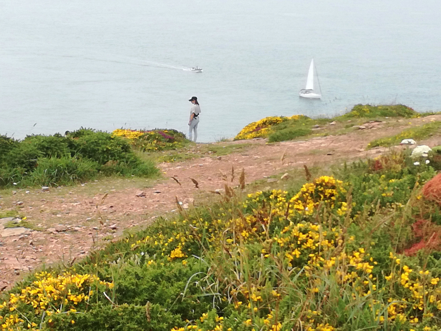 Cap Fréhel, Bretagne