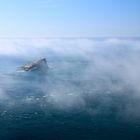 Cap Frehel / Bretagne / Frankreich