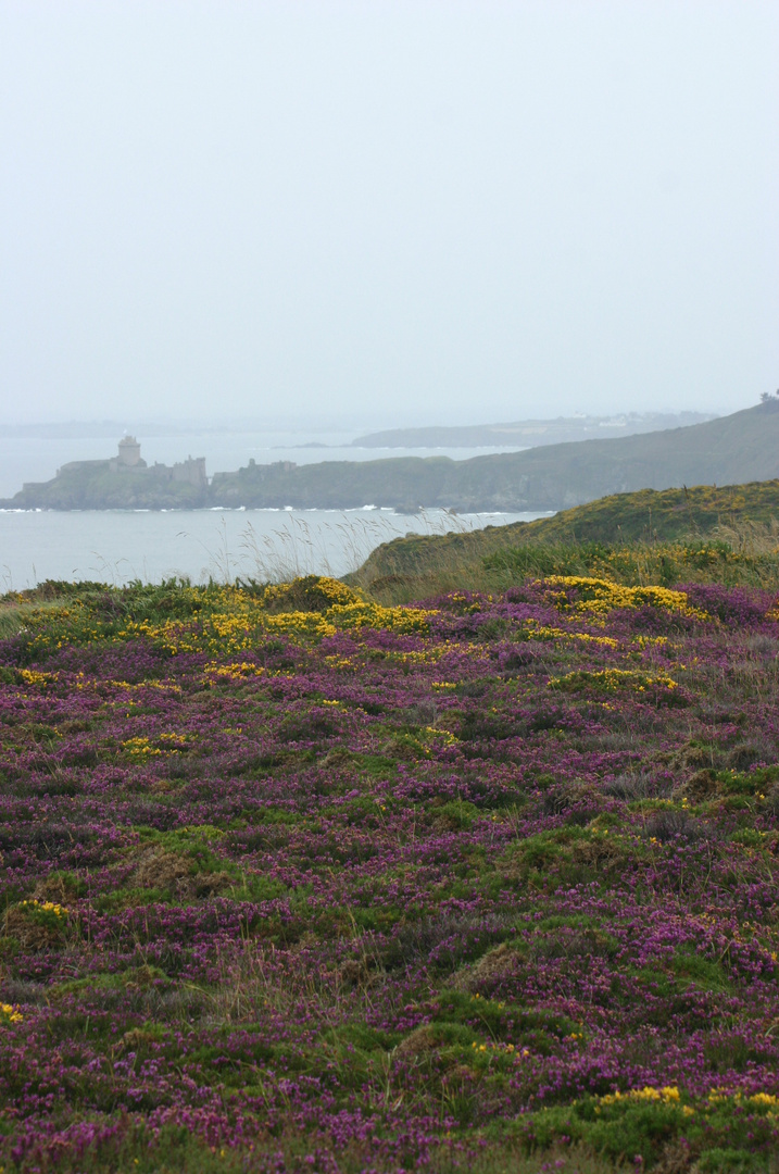 Cap Fréhel