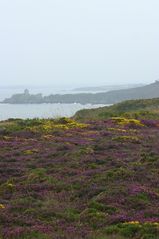 Cap Fréhel