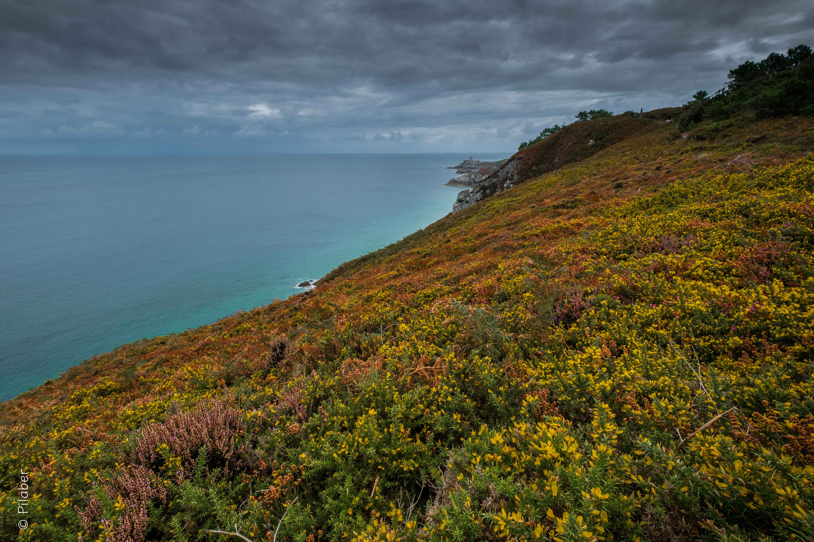 Cap Fréhel