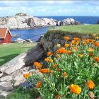 Cap Lindesnes 2