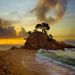 CAP ROIG  (PLATJA D´ARO) . Dedicada a RAFAEL MIRABET.