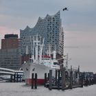 Cap San Diego vor der Elbphilharmonie