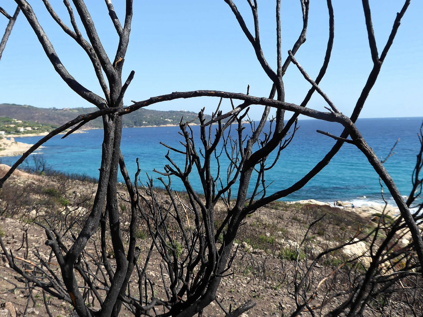 Cap Taillat nach dem Waldbrand 2017