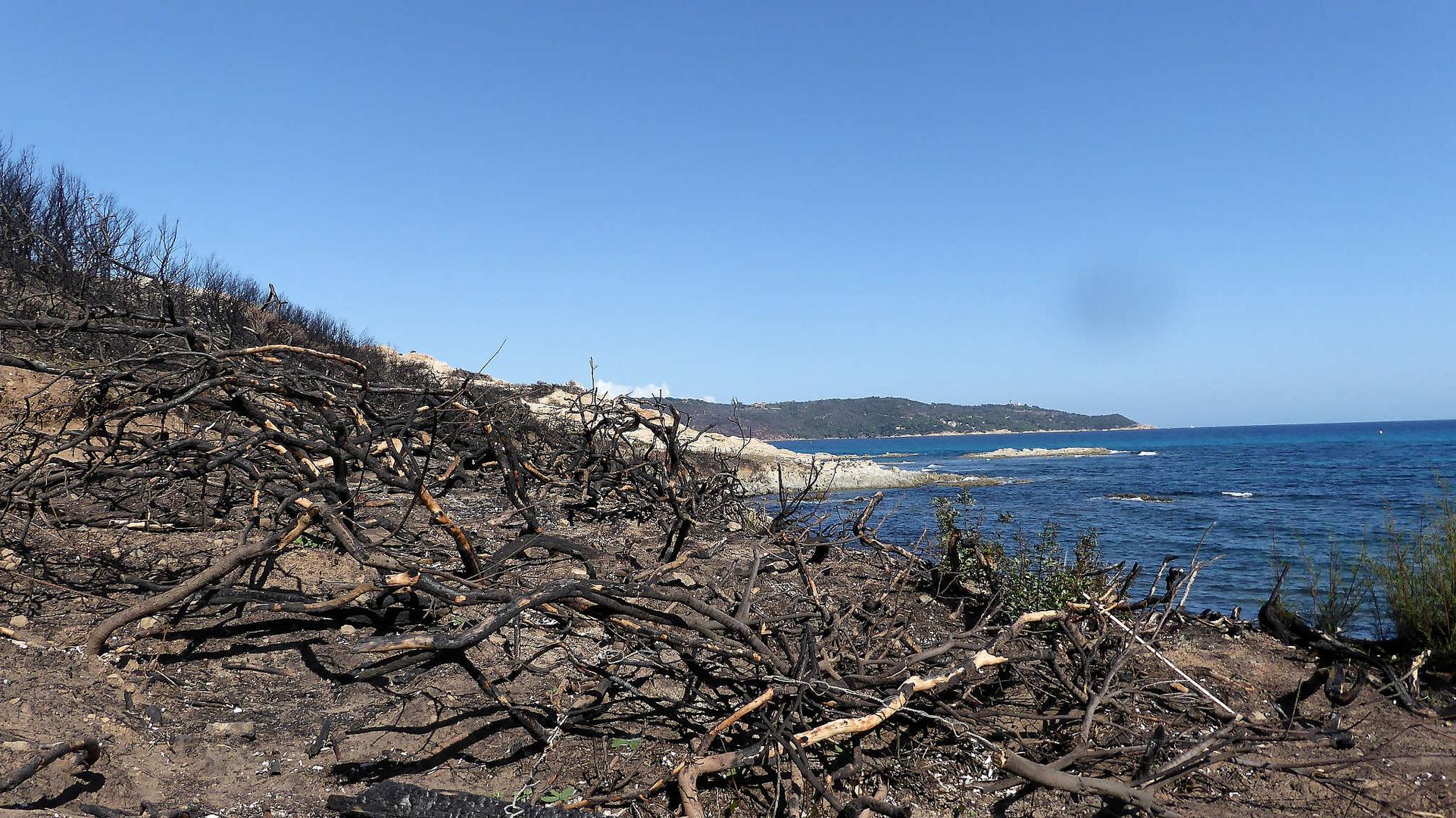 Cap Taillat nach dem Waldbrand 2017