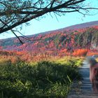 Cap-Tourmente en automne