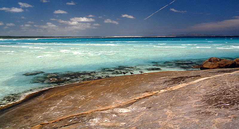 Cape Arid NP