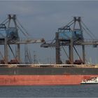 CAPE AZALEA, Bulk Carrier, Rotterdam.