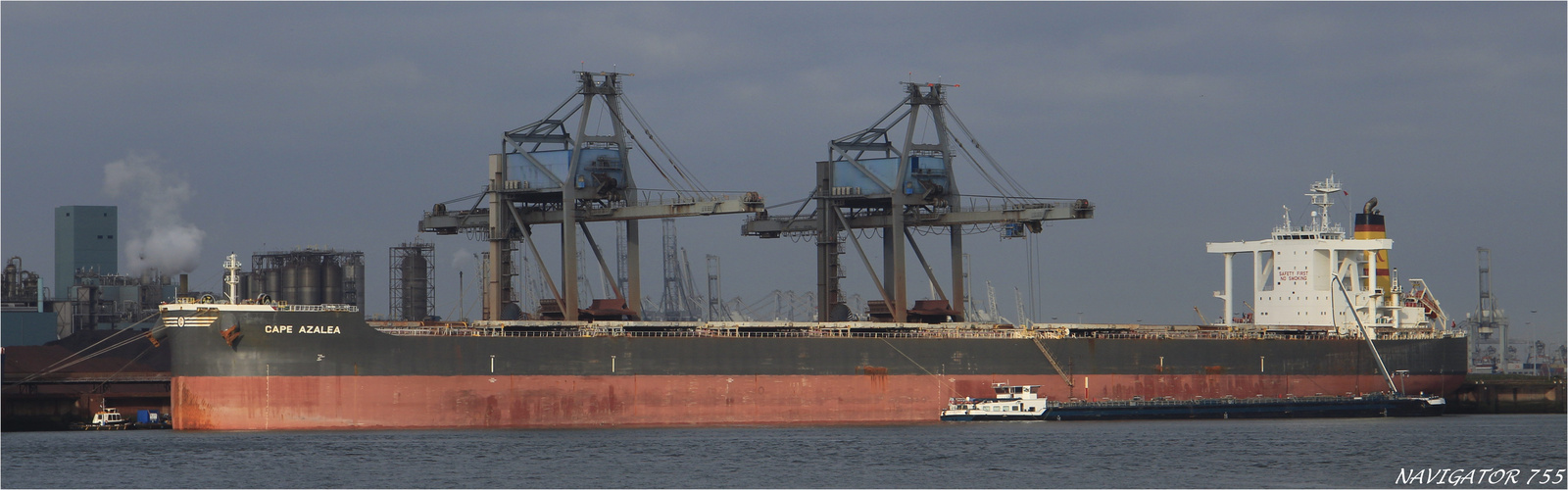 CAPE AZALEA, Bulk Carrier, Rotterdam.