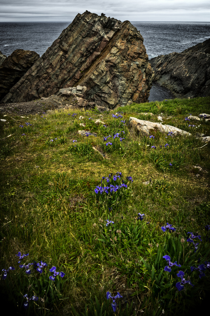 Cape Bonavista, Newfoundland