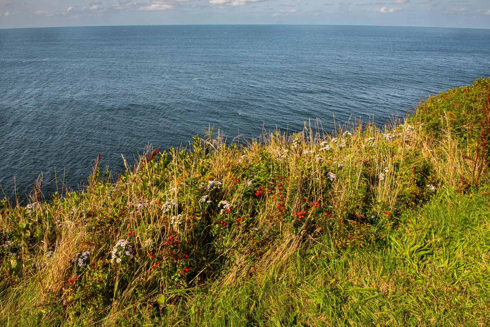 Cape Breton, Nova Scotia.    DSC_6685