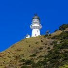 Cape Brett Lighthouse