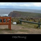 Cape Bruny