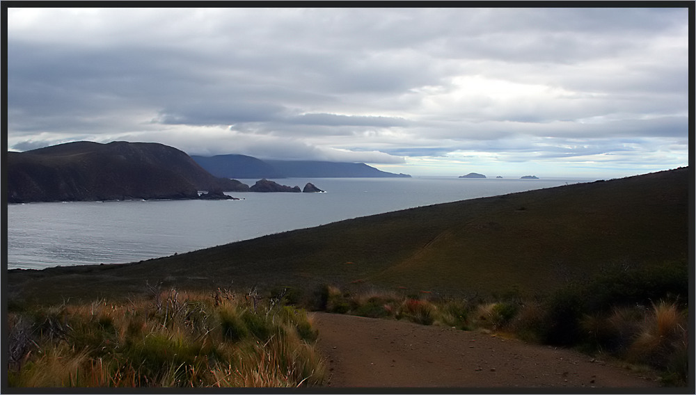 Cape Bruny View
