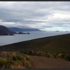 Cape Bruny View