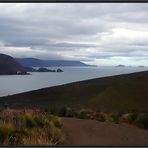 Cape Bruny View