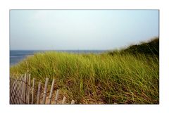 Cape Cod #1