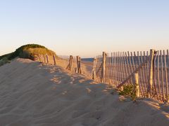 Cape Cod