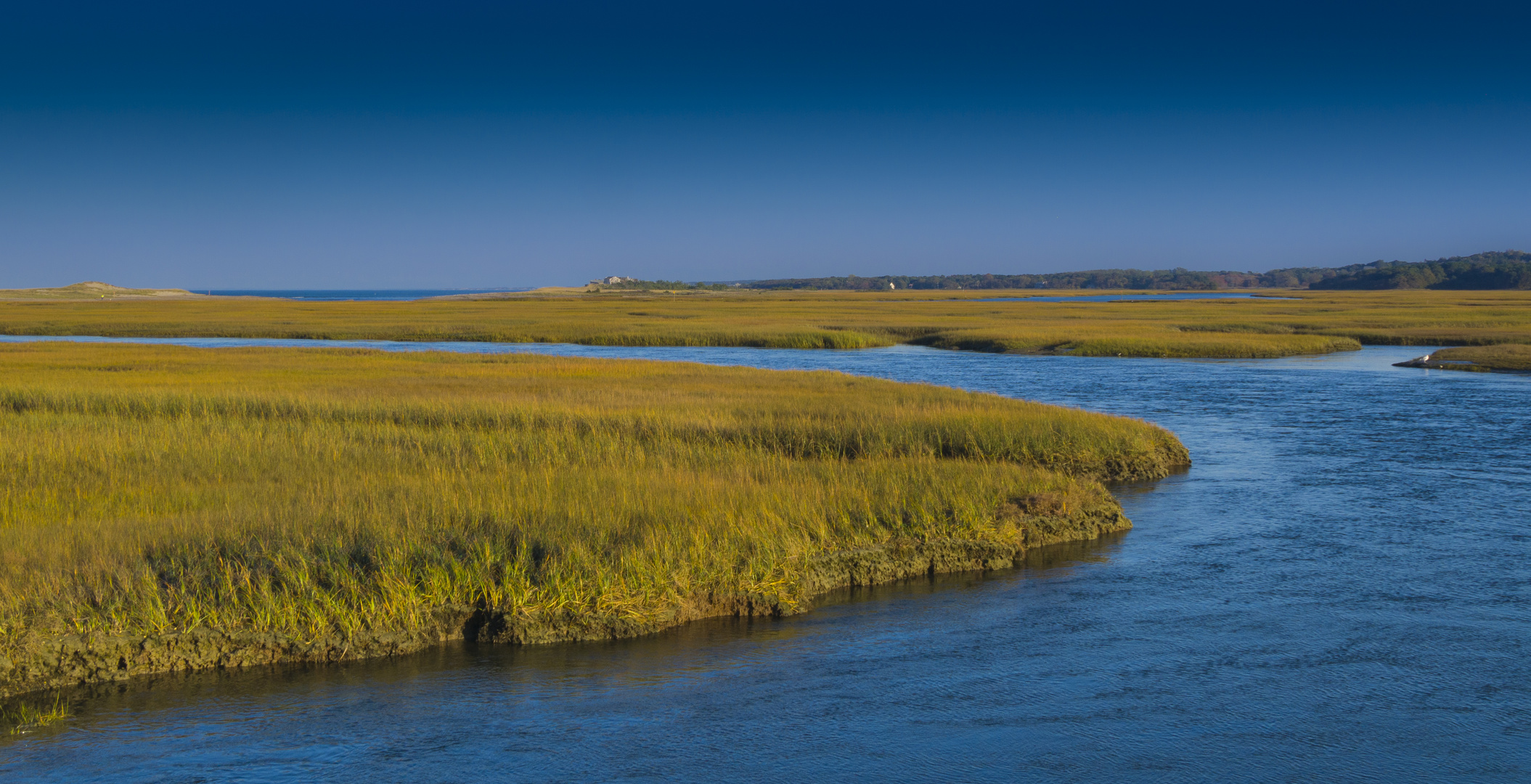 cape cod