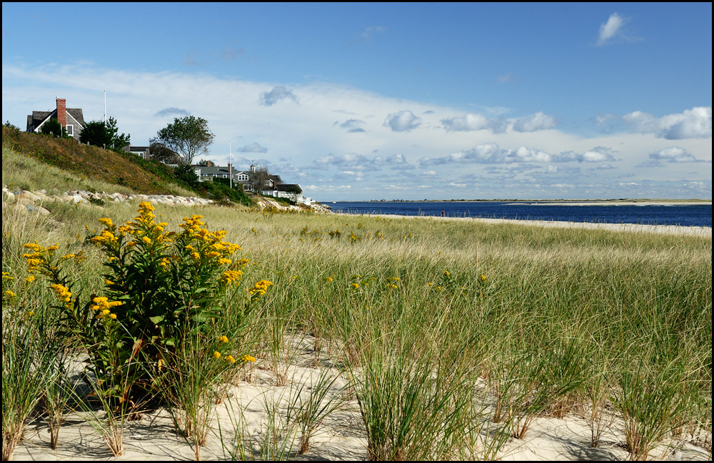 [ Cape Cod: Chatham Beach ]