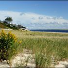 [ Cape Cod: Chatham Beach ]