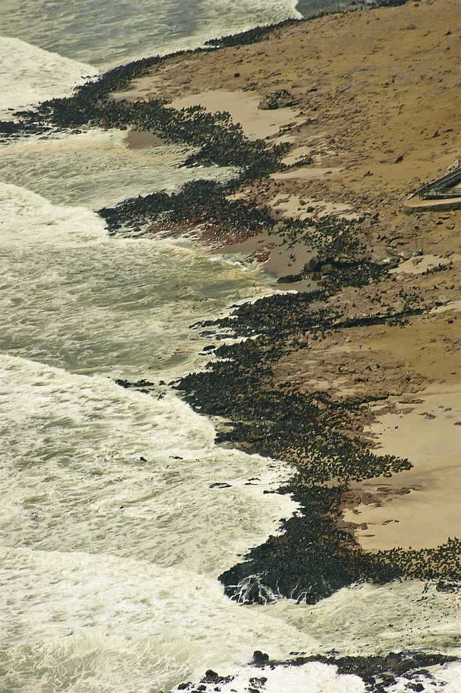 Cape Cross