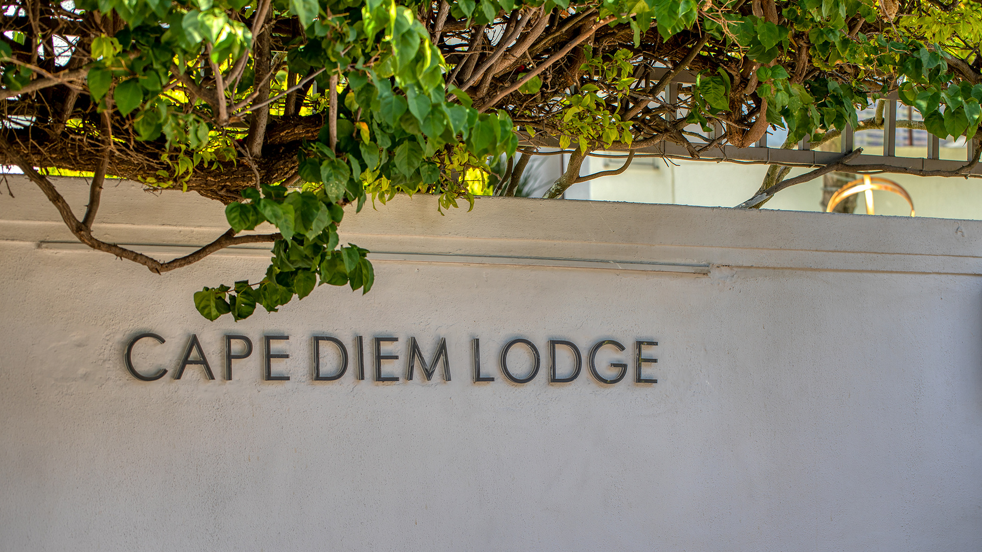 Cape diem Lodge, near Waterfront (2)