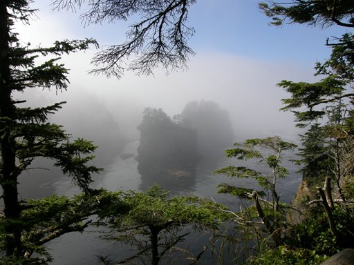 Cape Flattery