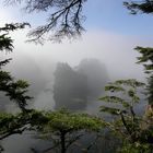 Cape Flattery