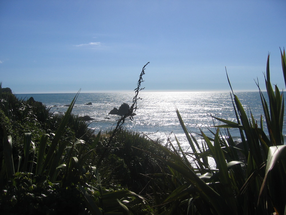 Cape Foulwind III