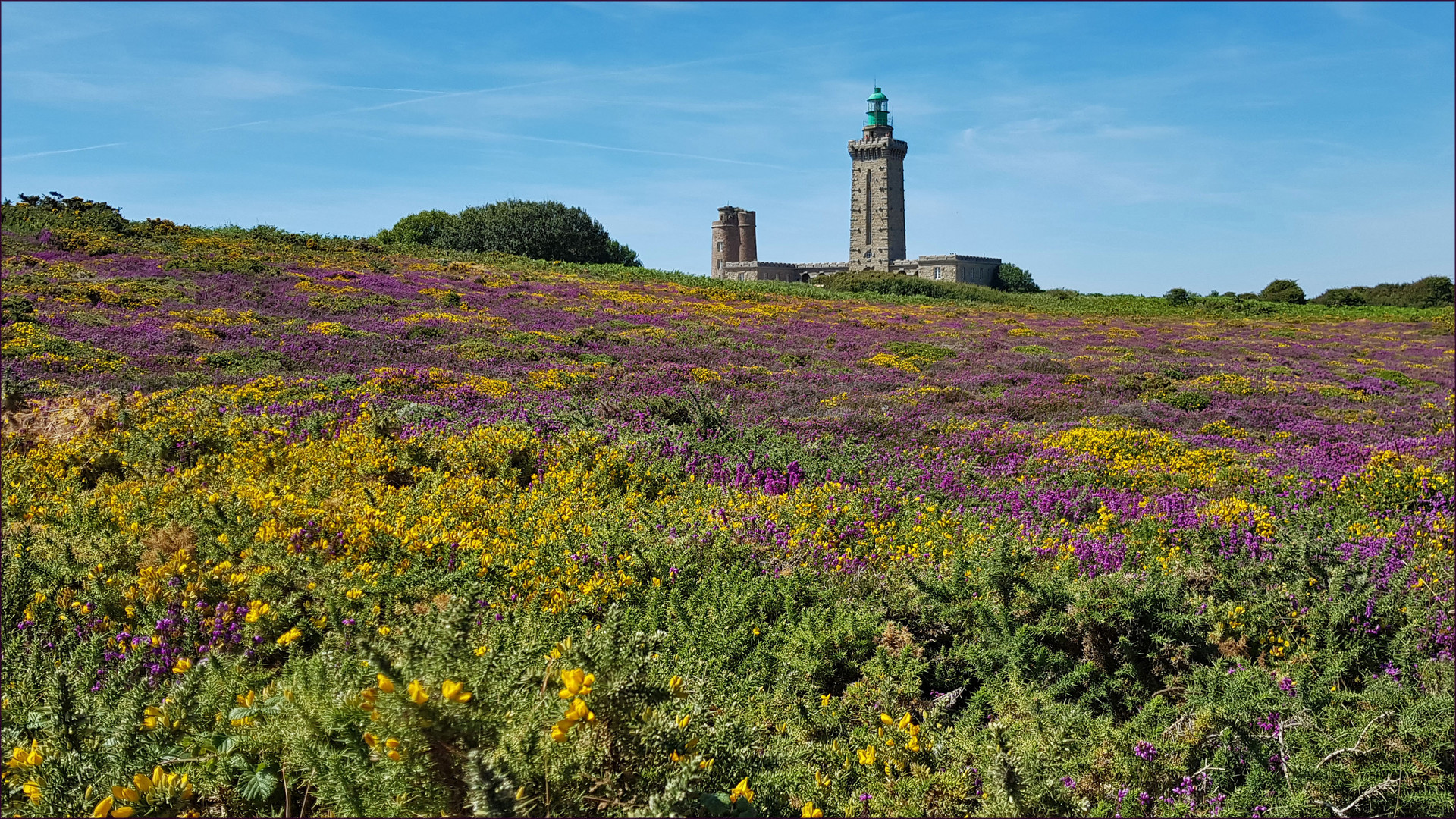 Cape Frehel 