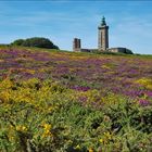 Cape Frehel 