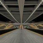 Cape Guillemins